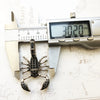 Black Scorpion Pendant - 925 Sterling Silver Jewelry - EverlyCrafted